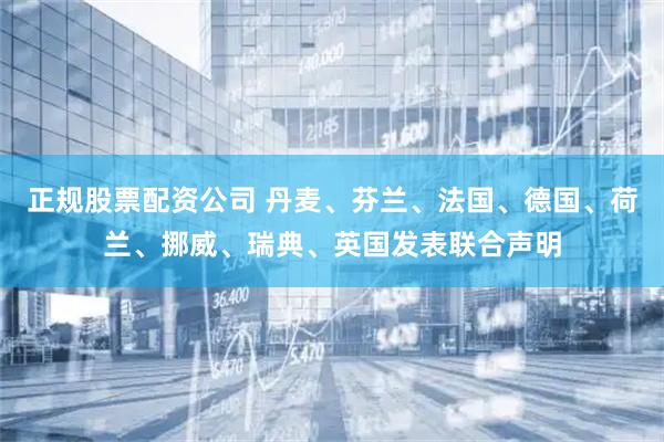 正规股票配资公司 丹麦、芬兰、法国、德国、荷兰、挪威、瑞典、英国发表联合声明