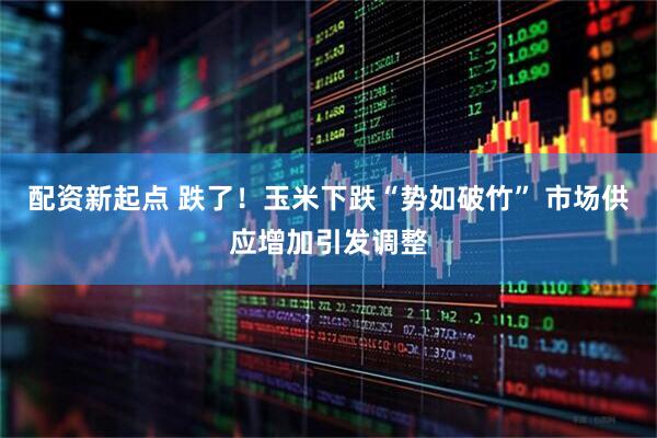 配资新起点 跌了！玉米下跌“势如破竹” 市场供应增加引发调整
